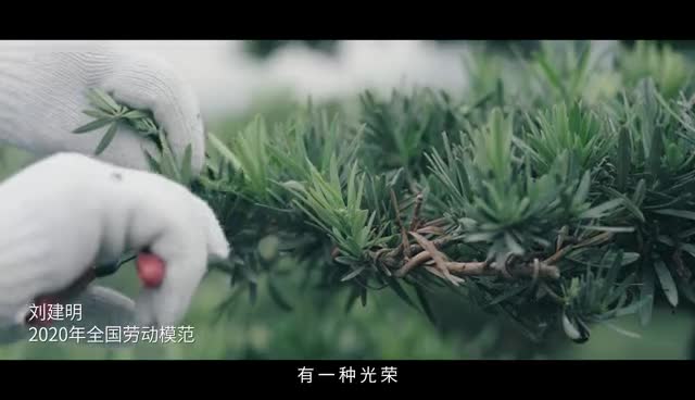 劳动创造幸福绍兴市总工会公益宣传片-全国劳模版